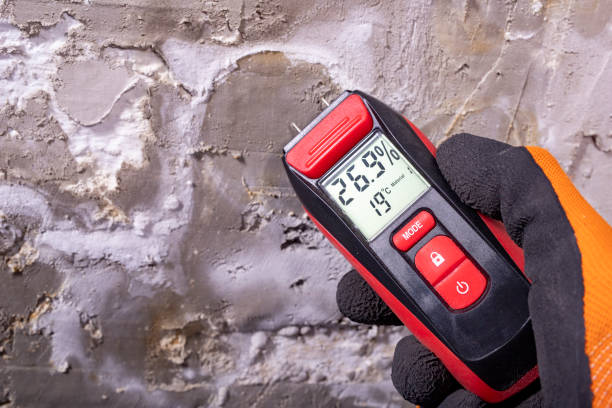 Trusted East Jordan, MI Mold Removal Experts
